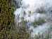 В Туве лесные пожары действуют в труднодоступных местах - Госкомлес